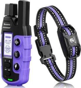 best dog training collar under 100