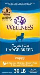 best dog food for doberman puppy