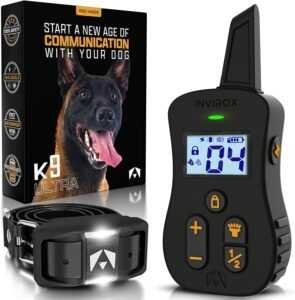 best dog training collar under 100