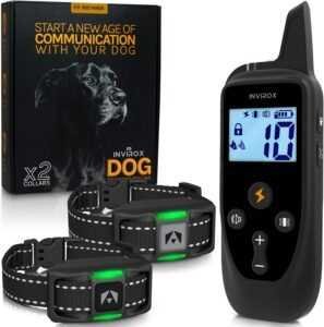 best dog training collar under 100