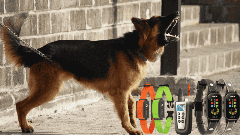 best dog training collars for barking