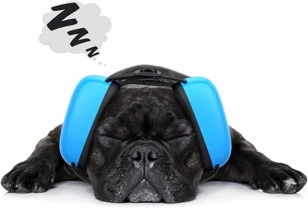 best noise cancelling headphones for dogs